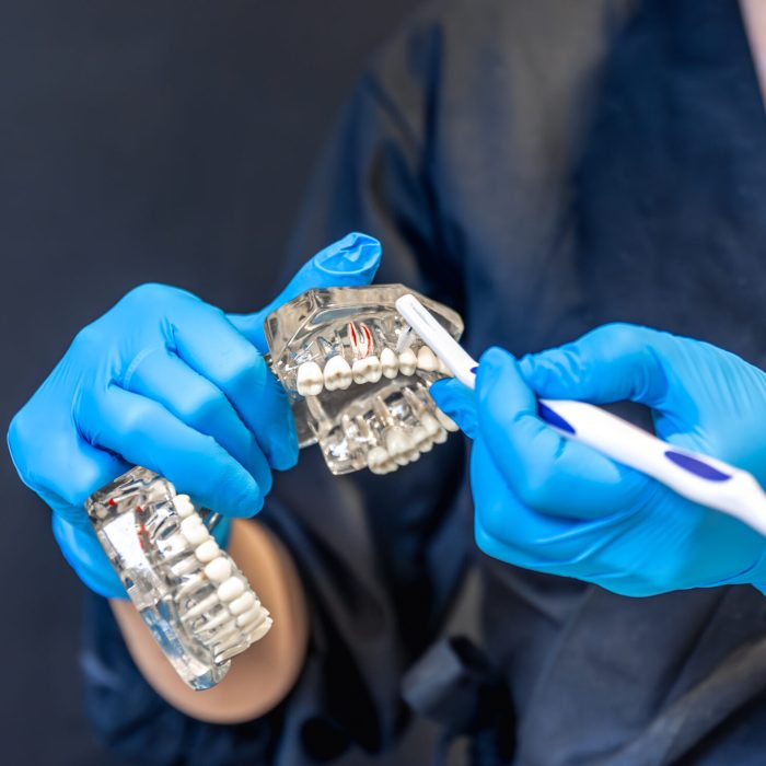 Female dentist holding dental model in hands. Concept of dentistry and dental treatment. High quality photo. Dentist in blue disposable gloves. Black background.